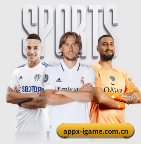 爱游戏网页版 APP